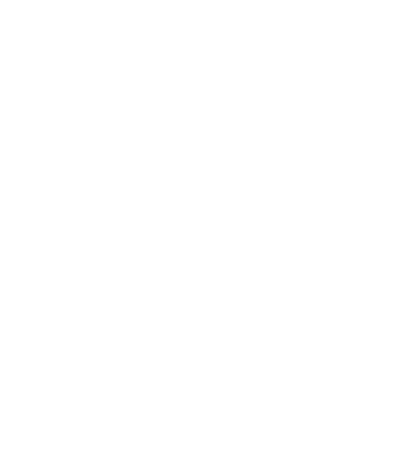 Mexico Travelnet Logo